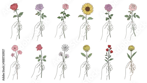 Delicate hands holding various blooming flowers in shades of pink red yellow and purple high quality