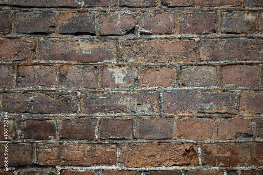 Fototapeta premium old brick wall close up