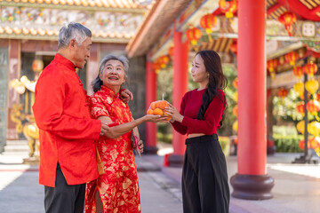 Happy asian daughter giving mandarin oranges to senior parents at Chinese temple, Family celebrating Lunar New Year, Filial piety, respect, luck and traditional holiday concept