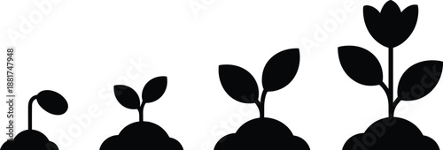 Plant growth stages silhouette illustration showing seedling, sprout, sapling, and flowering plant development process for nature and gardening education
