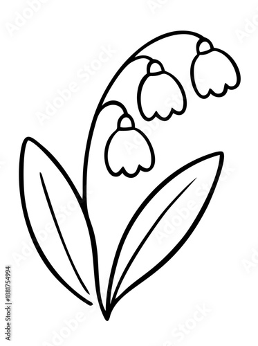 Snowdrop flower illustration in black outline style  