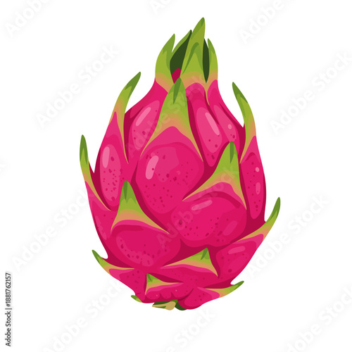 Dragon Fruit Isolated on White Background.