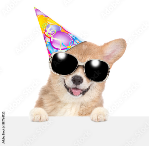 Happy Corgi puppy wearing party cap and sunglasses looking above blank white banner. isolated on white background © Ermolaev Alexandr