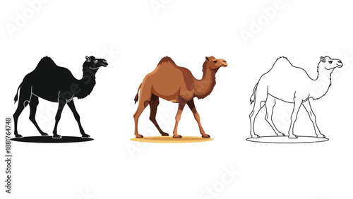 Camel icons set, black silhouette, color, and outline