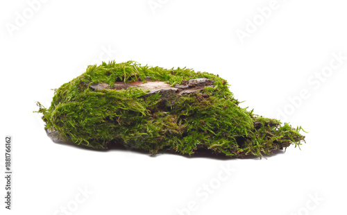 Tableau sur toile Green moss on stone isolated on white background