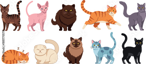 Cute Cat Characters Vector Set with Different Breeds Colors and Poses in Flat Cartoon Illustration Style