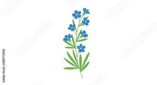 Delicate illustration of a blue forget-me-not flower stem with several small blossoms and green leaves on a clean white background.