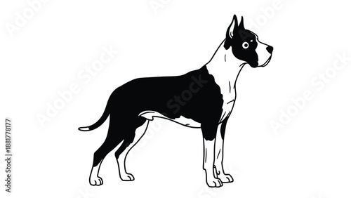 Striking black and white illustration of a noble dog standing alertly and attentively