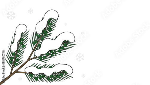 Snowy pine branch with green needles and falling snowflakes isolated