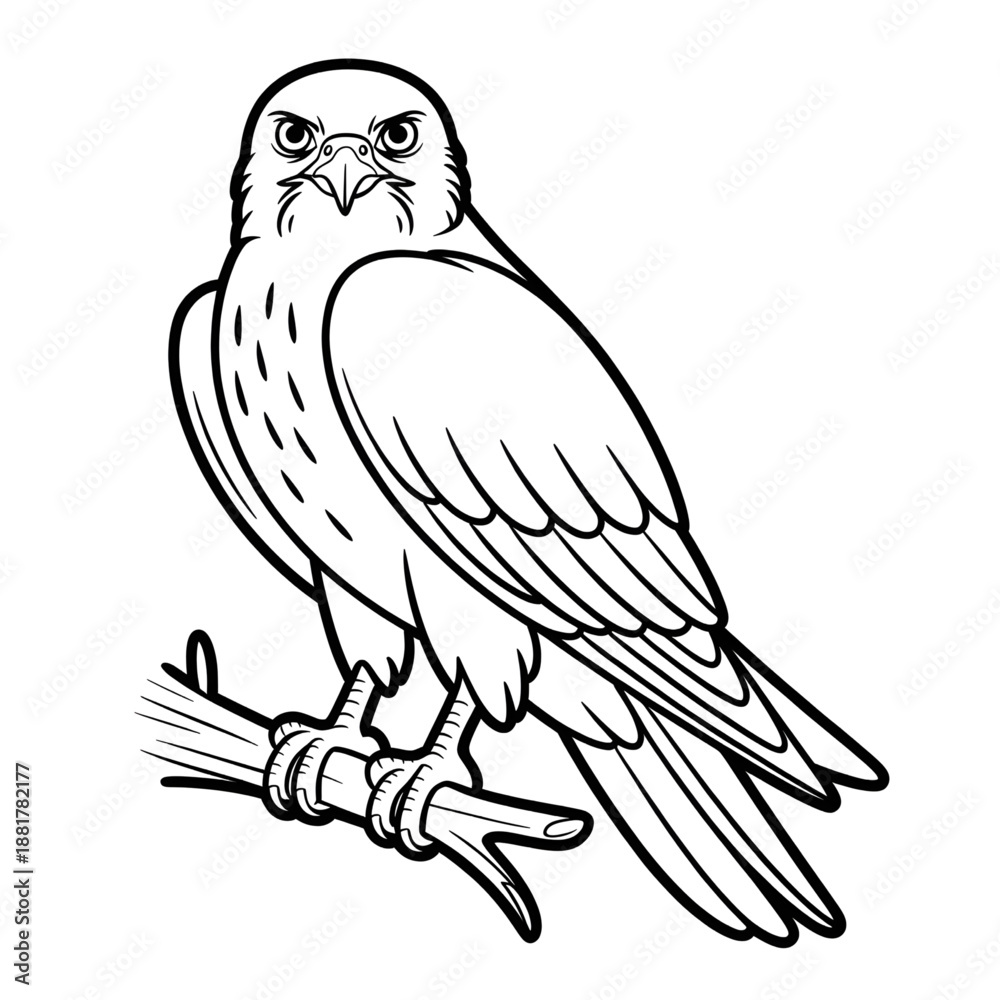 Obraz premium A falcon illustration vector style coloring page 