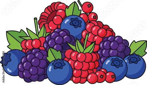 Manual Hand Whisk for Beating Eggs and Cream