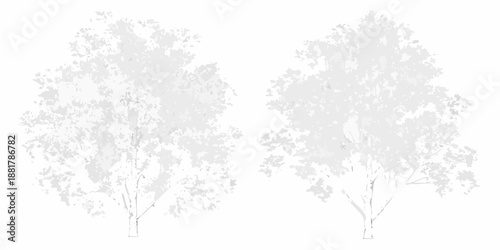 Silhouetted trees with dense foliage stand against a plain white background
