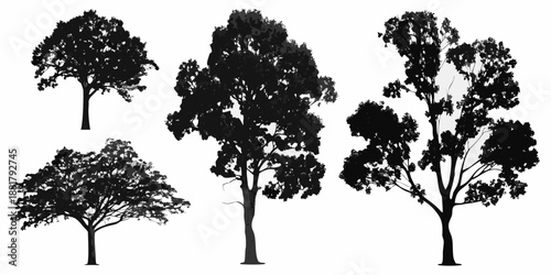 Silhouettes of various deciduous trees against a plain white background