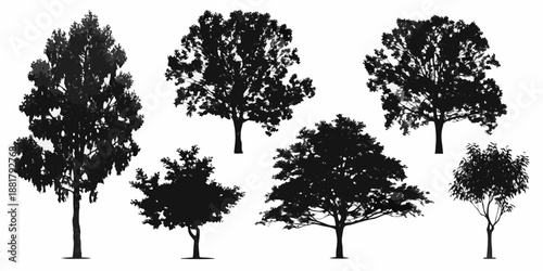 Silhouettes of diverse trees against a plain white background