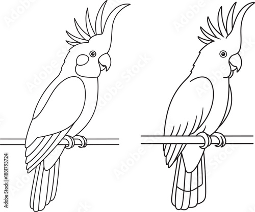 Cockatoo bird silhouette vector line on background