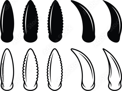 Collection of black and white dinosaur claws and teeth silhouettes tooth