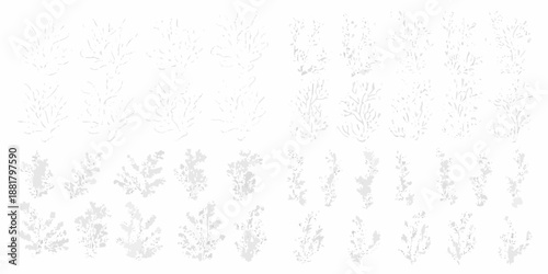 Delicate floral sketches arranged in a grid pattern on a white background