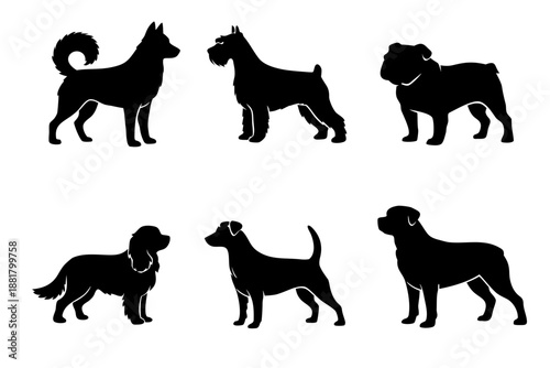 Set of six black dog silhouettes in side view, showing different breeds and poses. Minimal pet collection for veterinary, grooming, adoption and canine logo designs.
