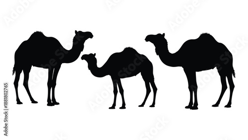 three camels silhouette against a white background presenting a simple and elegant animal design