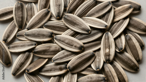 Sunflower Seed Pile Overview