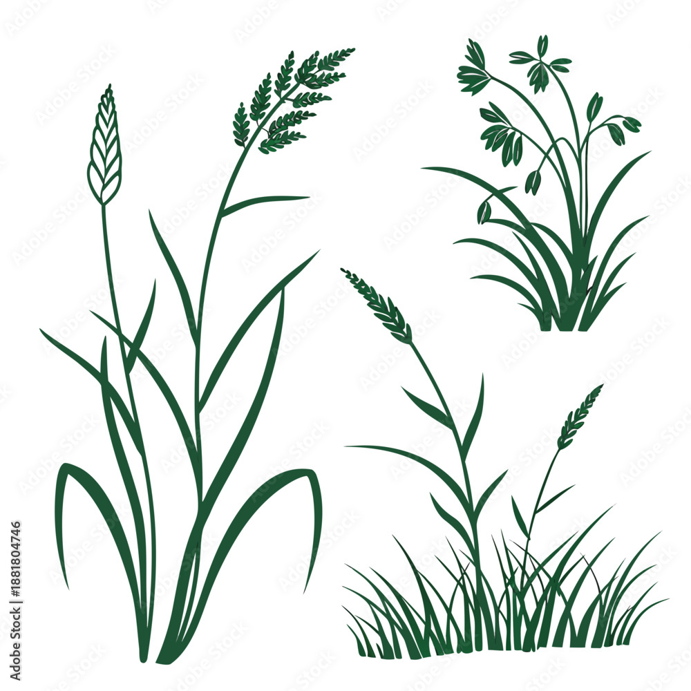 Fototapeta premium green grass vector illustration