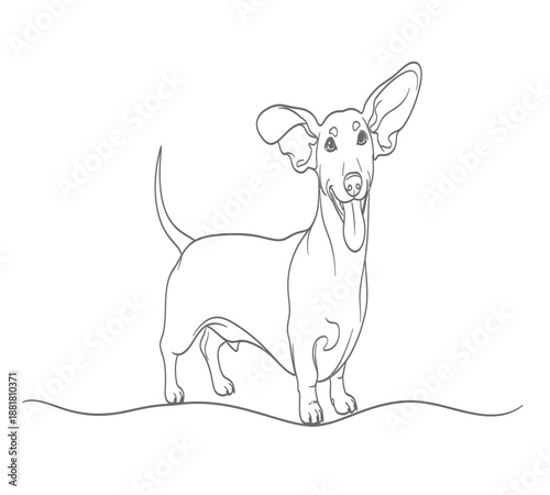 A simple line drawing showcases a charming dachshund with large floppy ears