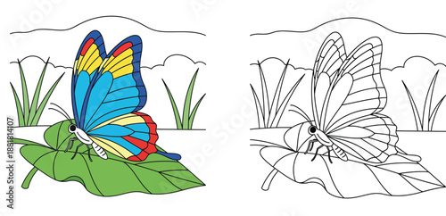Educational Butterfly Coloring Page for Kids with Colorful Example and Black and White Outline of an Insect on a Leaf Vector Illustration for Creative Learning Activities and School