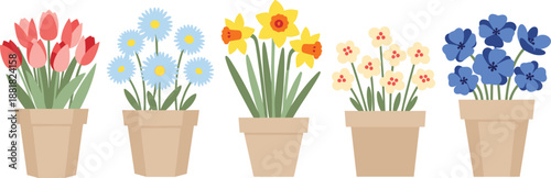 Collection of colorful potted flowers including tulips, daisies and spring blossoms, cute flat floral illustration set isolated on white background for home decor designs