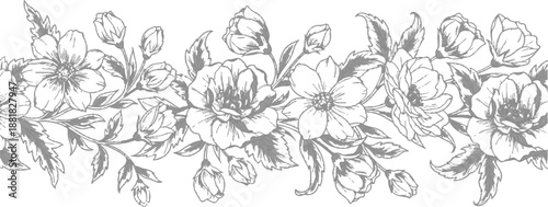  floral vector illustration featuring a seamless pattern of grass and flower vintage silhouettes with summer garden blossoms and spring branches isolated on white