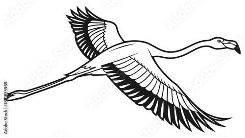 vector illustration of a flying eagle