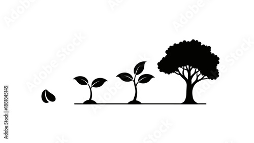 Growth stages of a tree from seed to maturity, simple vector illustration on white background.