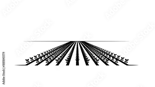 Minimalist black and white illustration of a field with rows of plants stretching into the distance.