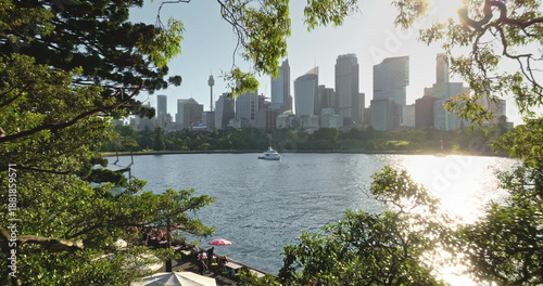 Photography Australia, Sydney: modern city skyline, Sydney Tower rising over Farm Cove, framed by lush vegetation, sailing yacht reflecting sunlight on calm harbor water