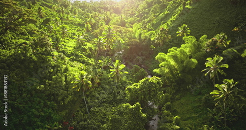 Photos Tropical nature panoramic background