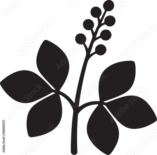 Green Gram icon plant in silhouette white background.