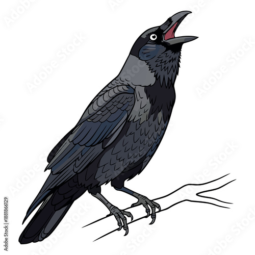 Placeholder image indicating the availability of a vector file for design projects