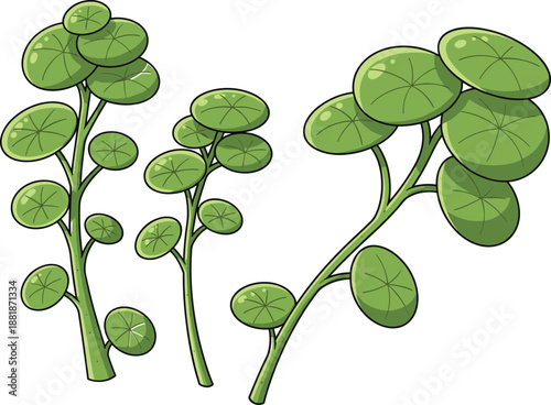 Stylized green botanical icons featuring Chinese money plants with round glossy leaves and upright branching stems