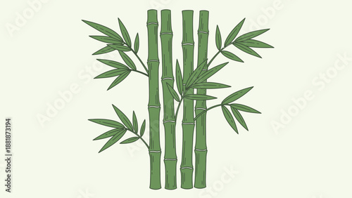 Natural bamboo stalks with green leaves on a light green background.