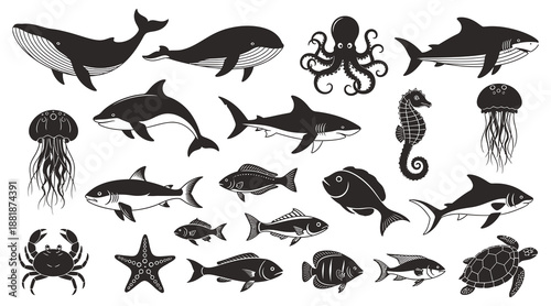 High quality illustration of sea animals showing marine life and underwater ocean biodiversity, perfect for nature, wildlife, and aquatic themed designs.