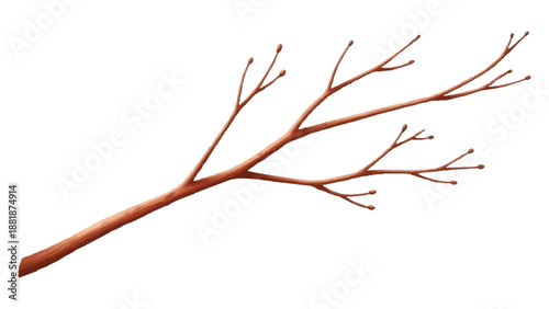Bare branch of deciduous tree watercolor drawing vector illustration for seasonal design