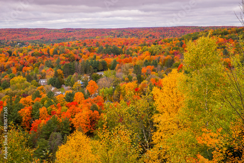 Autumn in Ontario region Canada