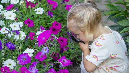 Obraz na plátně Little girl with magnifying glass looking at petunias in a blooming summer garde