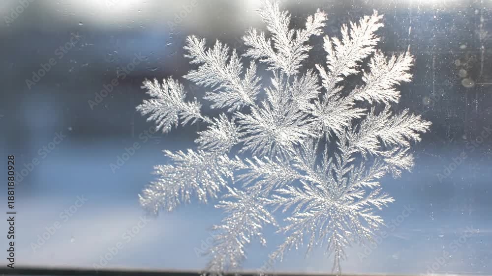 custom made wallpaper toronto digitalDynamic Crystal Sparkle Gentle, slow camera movement across a surface densely covered with ice crystals, catching their dazzling sparkle as natural light reflects off their facets.