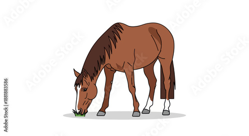 A brown horse is peacefully grazing on fresh green grass.