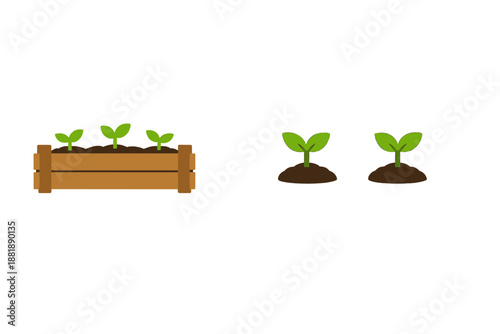 Growing plants in a wooden box with soil and young sprouts beside it