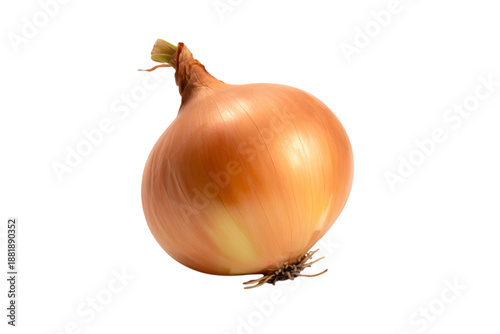 Wallpaper Mural single fresh onion . Isolated on transparent background, png Torontodigital.ca