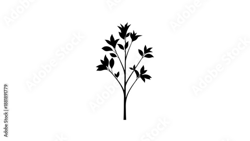 Black silhouette of a small tree with leaves on a white background.