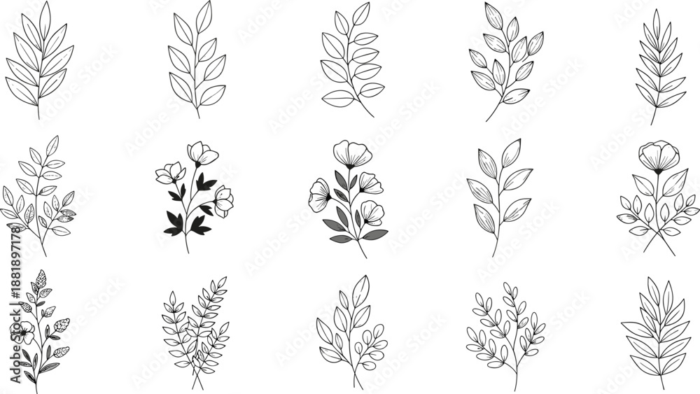 Fototapeta premium Botanical line art, floral illustrations, leaf designs, nature elements, black and white, decorative plants, garden, foliage, sketch, outline, elegant, organic, minimalist, bloom, petal, stem