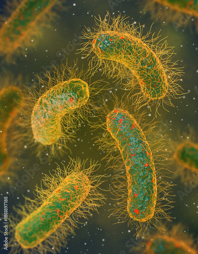 Medical education, pathogenic bacteria salmonella, enterobacteria, rod-shaped, disease affecting the intestinal tract, 3d rendering