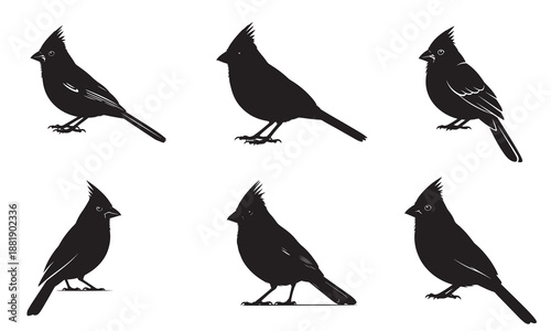 Six detailed black silhouettes of northern cardinal birds, showcasing different postures and views.